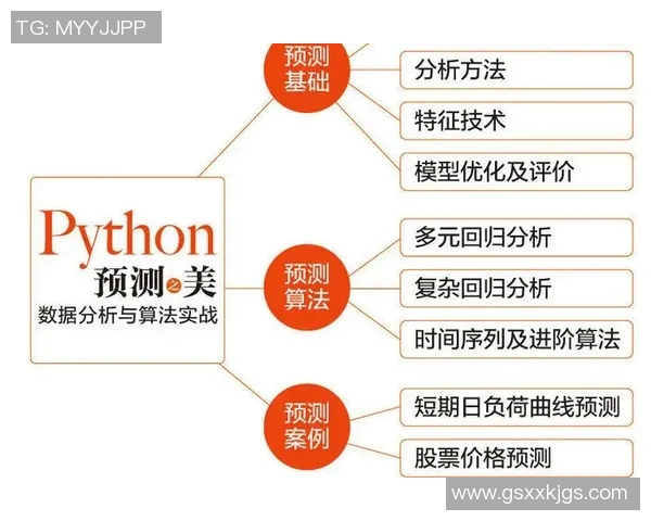 深入解析杭州排球队战术表现与数据分析的关系及其影响因素